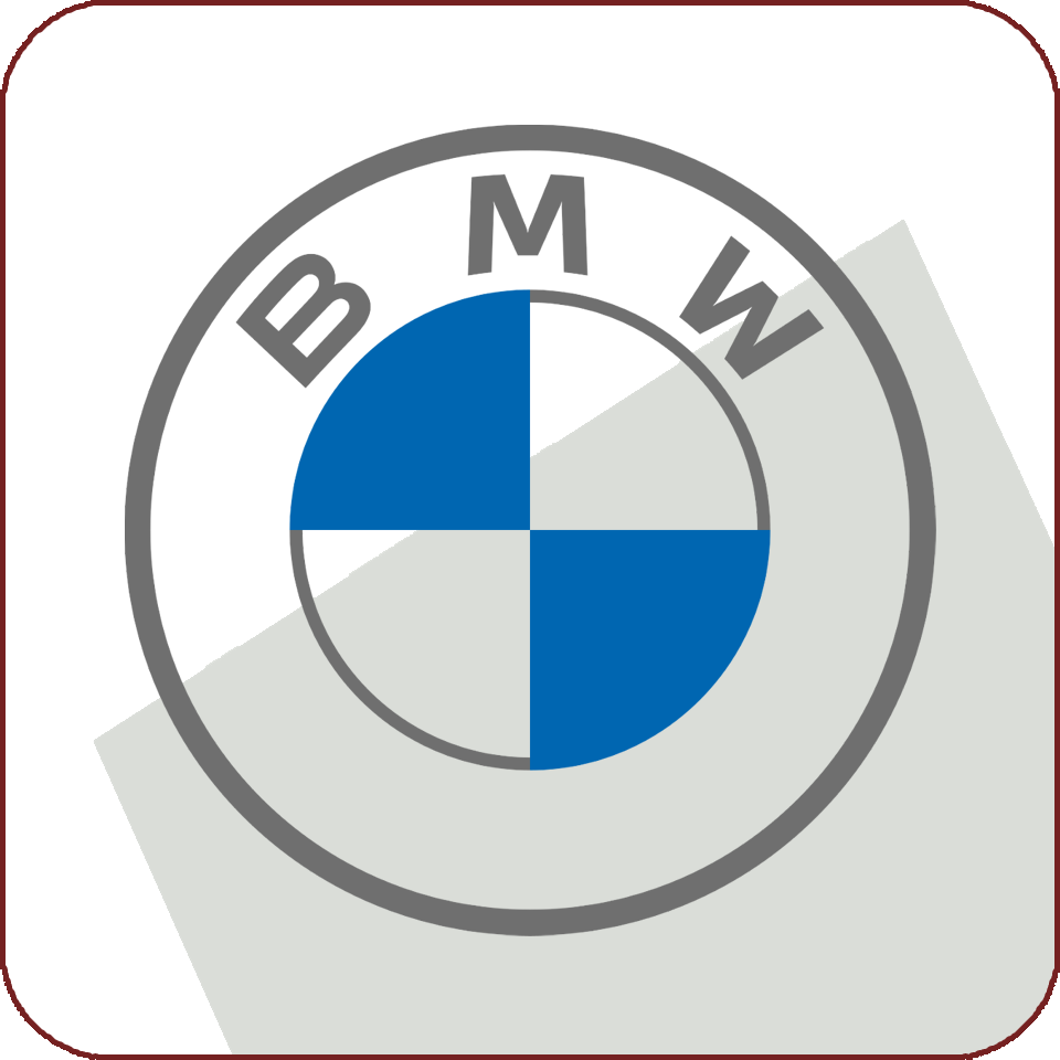 BMW EWS CHIAVE