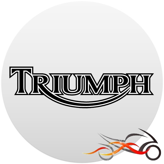 Speed Triple T509 ECU-flash tuning chiptuning